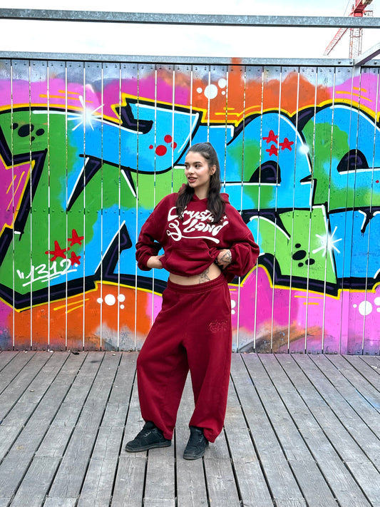 CRYSTALAND PUFF PRINT BURGUNDY HOODIE
